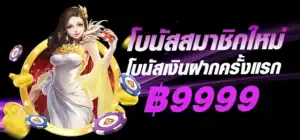banner-hero-burmese7