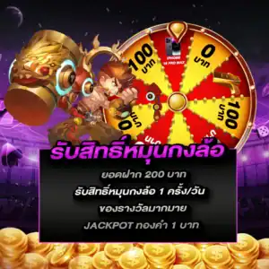 pro3-burmese7